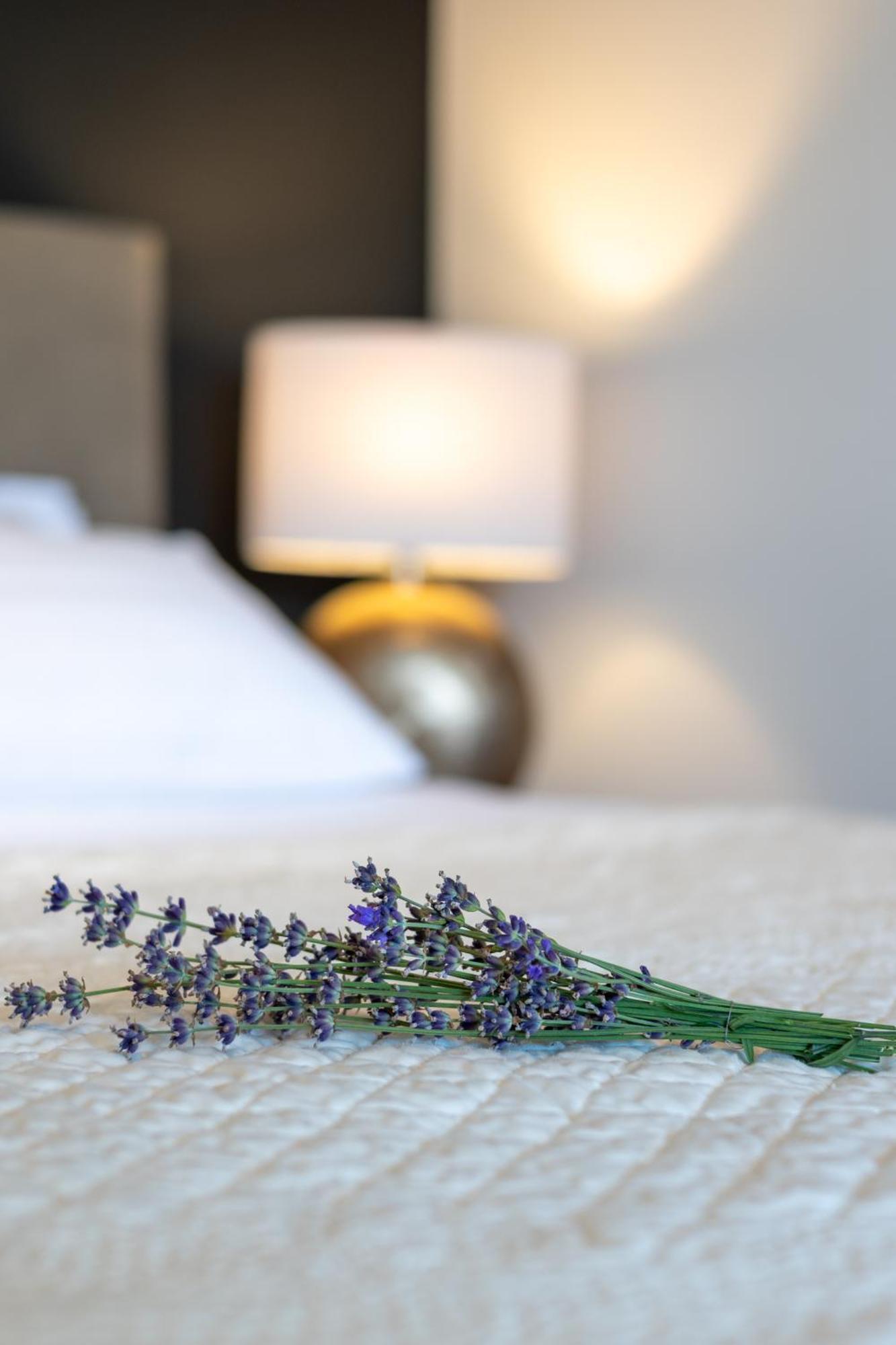 Apartment Sladic ซิซัค ภายนอก รูปภาพ